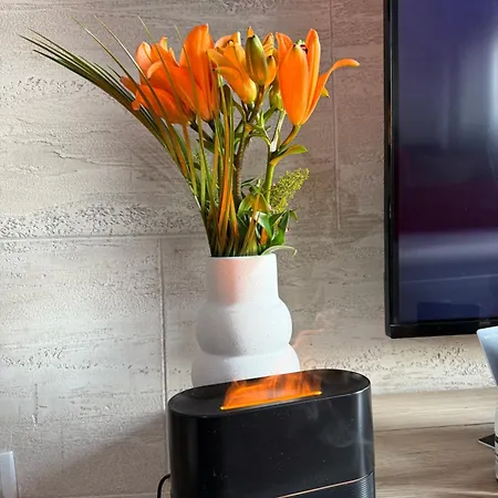 Apartamento Min Lux &