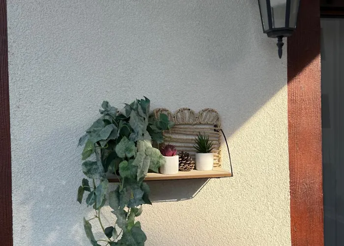 Min Lux & زلاتيبور